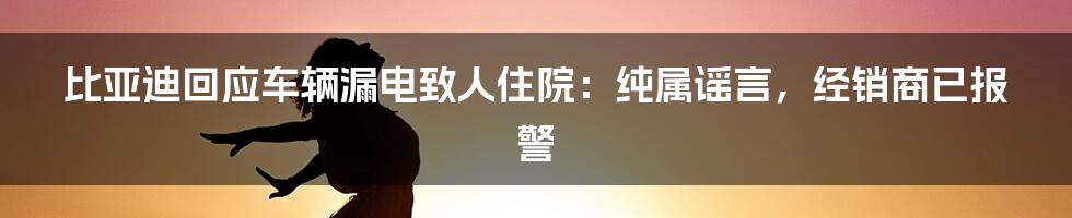 比亚迪回应车辆漏电致人住院：纯属谣言，经销商已报警