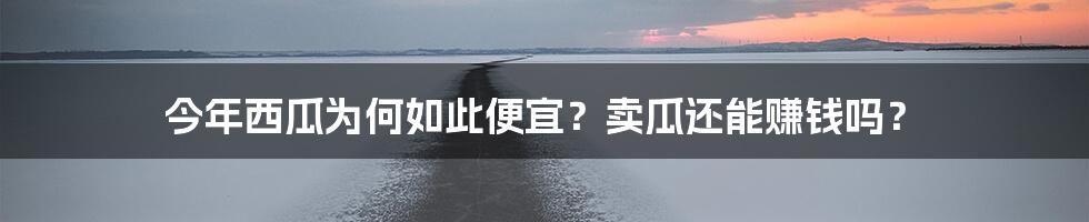 今年西瓜为何如此便宜？卖瓜还能赚钱吗？