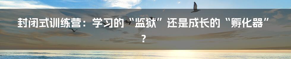 封闭式训练营：学习的“监狱”还是成长的“孵化器”？