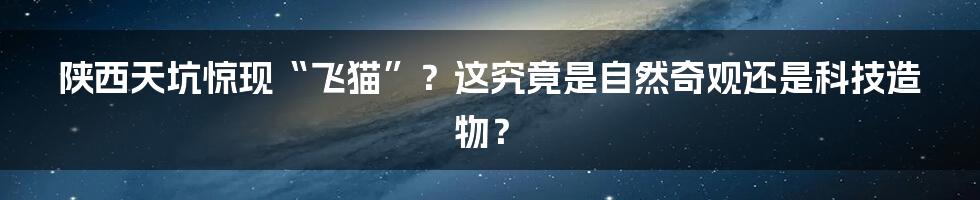 陕西天坑惊现“飞猫”？这究竟是自然奇观还是科技造物？