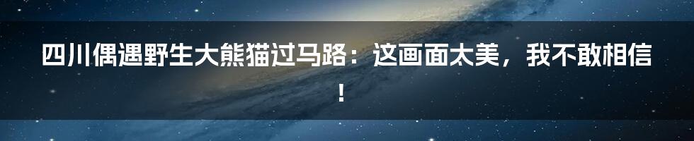 四川偶遇野生大熊猫过马路：这画面太美，我不敢相信！