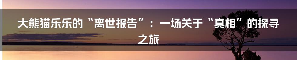 大熊猫乐乐的“离世报告”：一场关于“真相”的探寻之旅