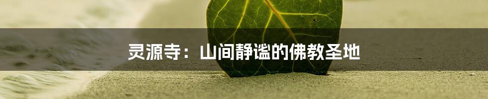 灵源寺：山间静谧的佛教圣地