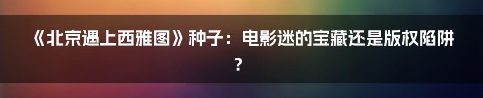 《北京遇上西雅图》种子：电影迷的宝藏还是版权陷阱？