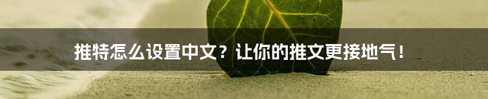 推特怎么设置中文？让你的推文更接地气！