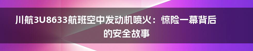 川航3U8633航班空中发动机喷火：惊险一幕背后的安全故事