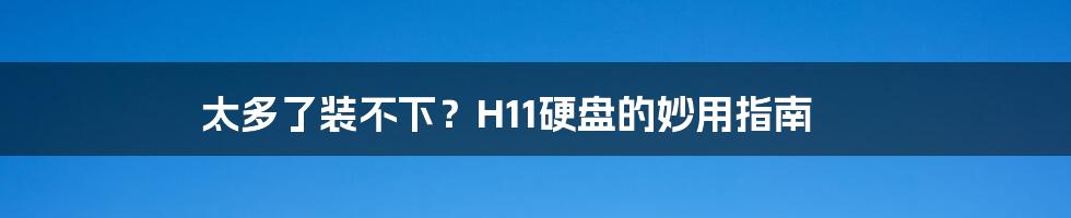 太多了装不下？H11硬盘的妙用指南