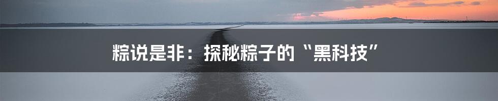 粽说是非：探秘粽子的“黑科技”