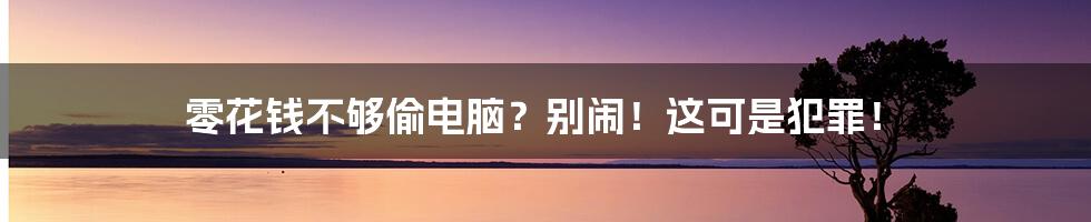 零花钱不够偷电脑？别闹！这可是犯罪！