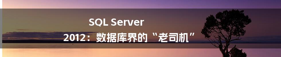 SQL Server 2012：数据库界的“老司机”