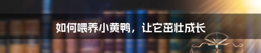 如何喂养小黄鸭，让它茁壮成长