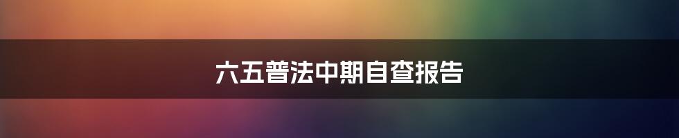 六五普法中期自查报告