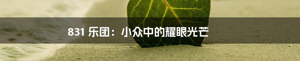 831 乐团：小众中的耀眼光芒