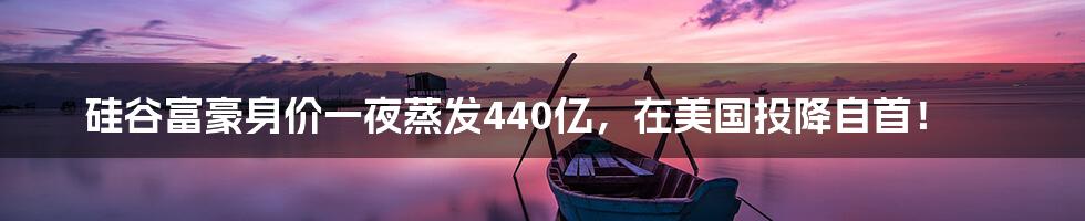 硅谷富豪身价一夜蒸发440亿，在美国投降自首！