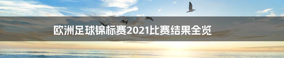 欧洲足球锦标赛2021比赛结果全览