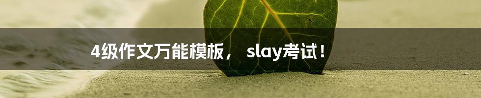 4级作文万能模板， slay考试！