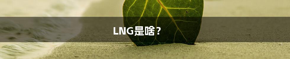 LNG是啥？