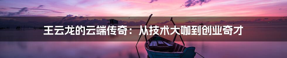 王云龙的云端传奇：从技术大咖到创业奇才