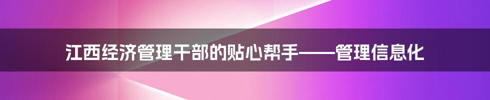 江西经济管理干部的贴心帮手——管理信息化