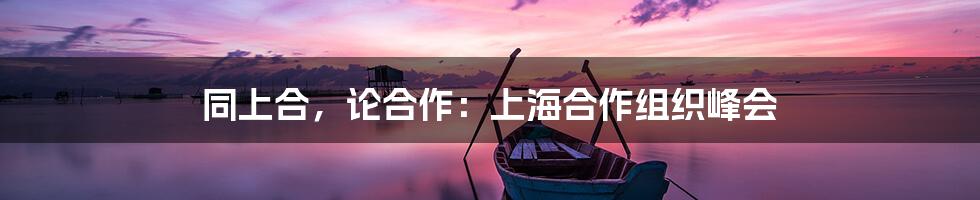 同上合，论合作：上海合作组织峰会