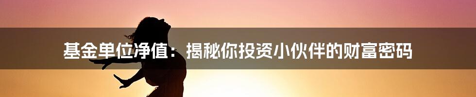 基金单位净值：揭秘你投资小伙伴的财富密码