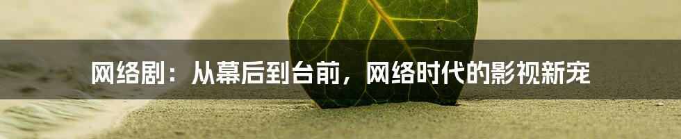 网络剧：从幕后到台前，网络时代的影视新宠