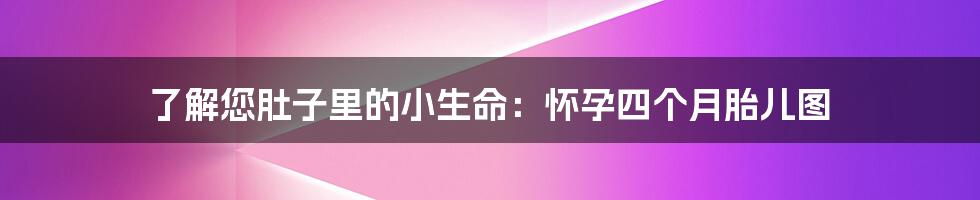 了解您肚子里的小生命：怀孕四个月胎儿图