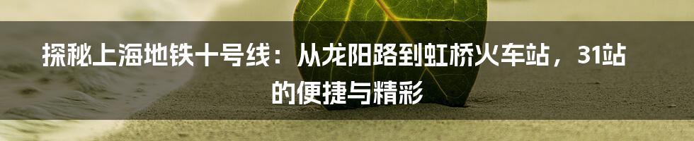 探秘上海地铁十号线：从龙阳路到虹桥火车站，31站的便捷与精彩