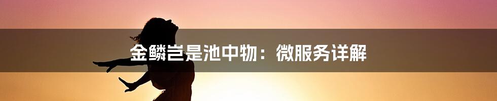 金鳞岂是池中物：微服务详解