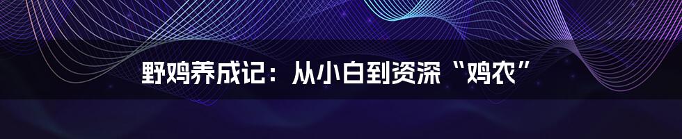 野鸡养成记：从小白到资深“鸡农”