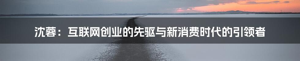 沈蓉：互联网创业的先驱与新消费时代的引领者