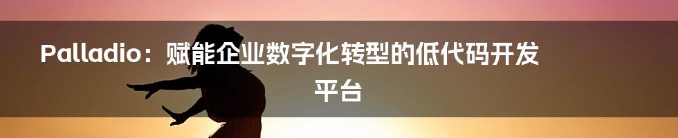 Palladio：赋能企业数字化转型的低代码开发平台