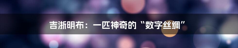 吉浙明布：一匹神奇的“数字丝绸”