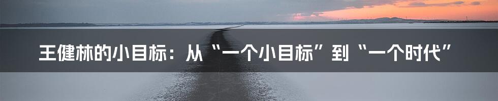 王健林的小目标：从“一个小目标”到“一个时代”