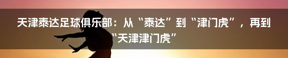 天津泰达足球俱乐部：从“泰达”到“津门虎”，再到“天津津门虎”