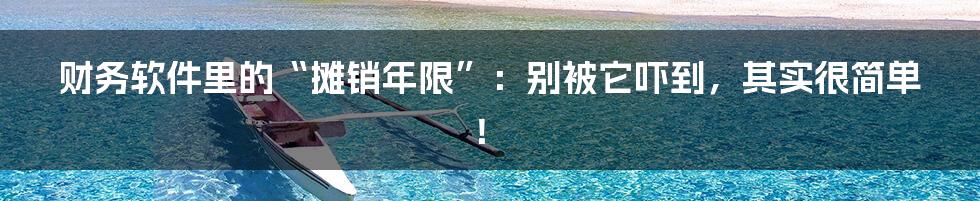 财务软件里的“摊销年限”：别被它吓到，其实很简单！