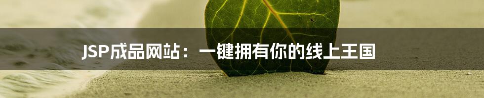 JSP成品网站：一键拥有你的线上王国