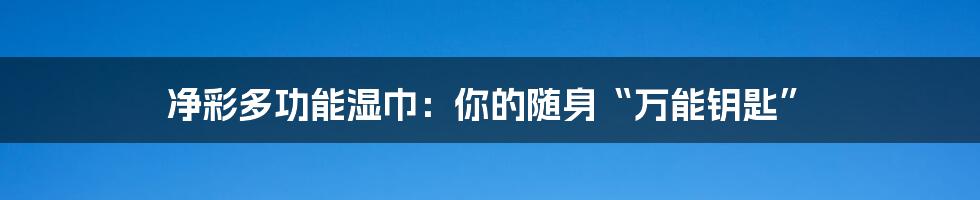 净彩多功能湿巾：你的随身“万能钥匙”