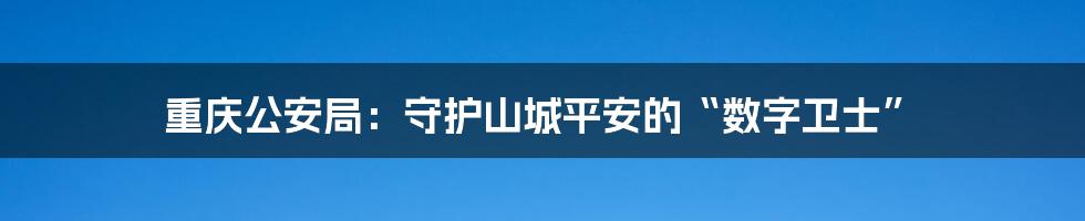 重庆公安局：守护山城平安的“数字卫士”