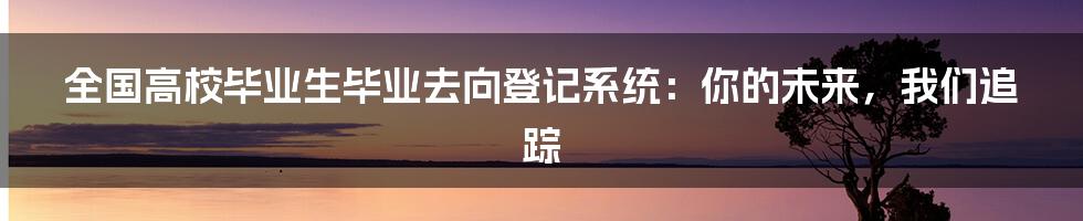 全国高校毕业生毕业去向登记系统：你的未来，我们追踪