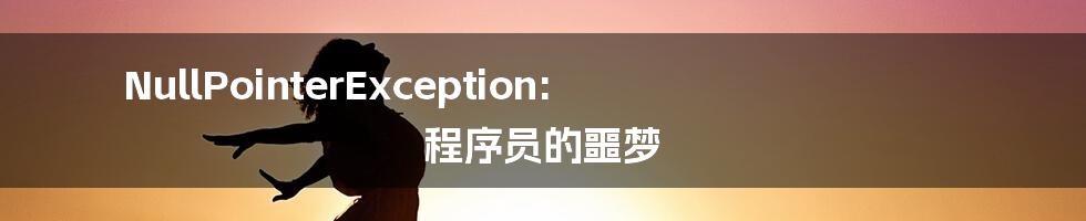 NullPointerException: 程序员的噩梦