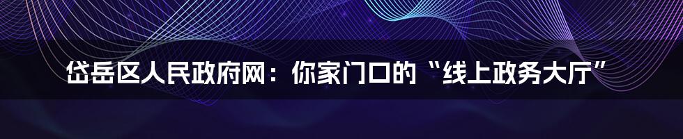 岱岳区人民政府网：你家门口的“线上政务大厅”