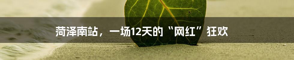 菏泽南站，一场12天的“网红”狂欢