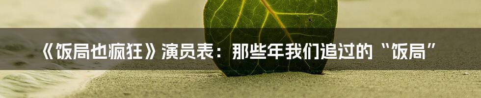 《饭局也疯狂》演员表：那些年我们追过的“饭局”