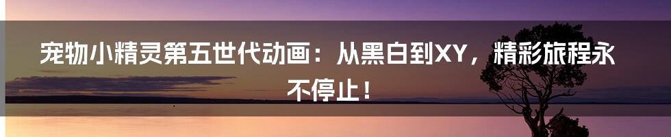 宠物小精灵第五世代动画：从黑白到XY，精彩旅程永不停止！