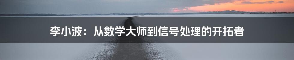 李小波：从数学大师到信号处理的开拓者