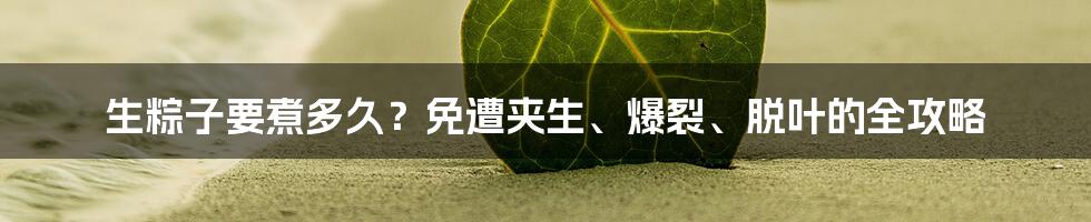 生粽子要煮多久？免遭夹生、爆裂、脱叶的全攻略