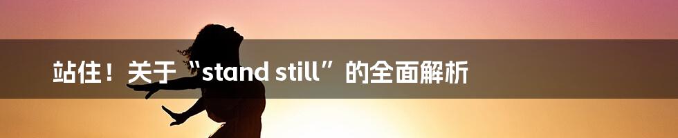 站住！关于“stand still”的全面解析