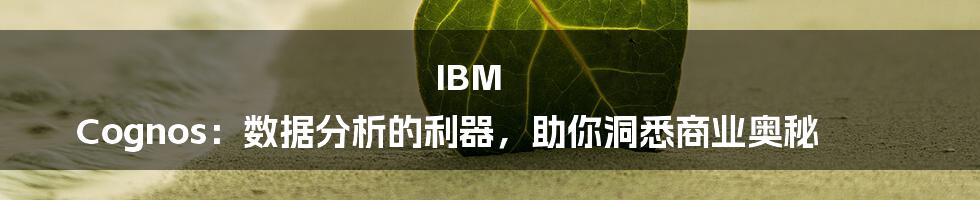 IBM Cognos：数据分析的利器，助你洞悉商业奥秘