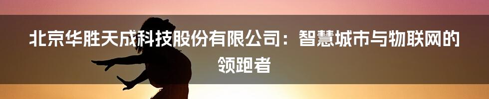 北京华胜天成科技股份有限公司：智慧城市与物联网的领跑者